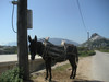skyros stad